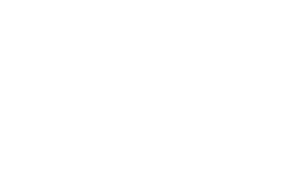 BARS